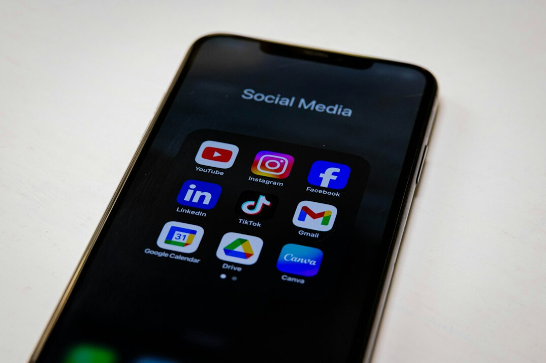 social media influence on public opinion